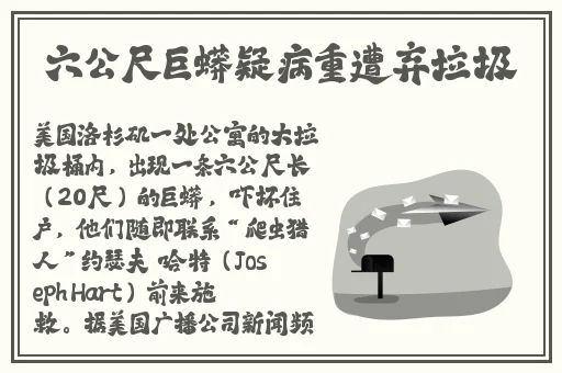 天美董小宛的主要作品是什么